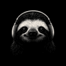 SLothLang - Learn anything, The sloth way